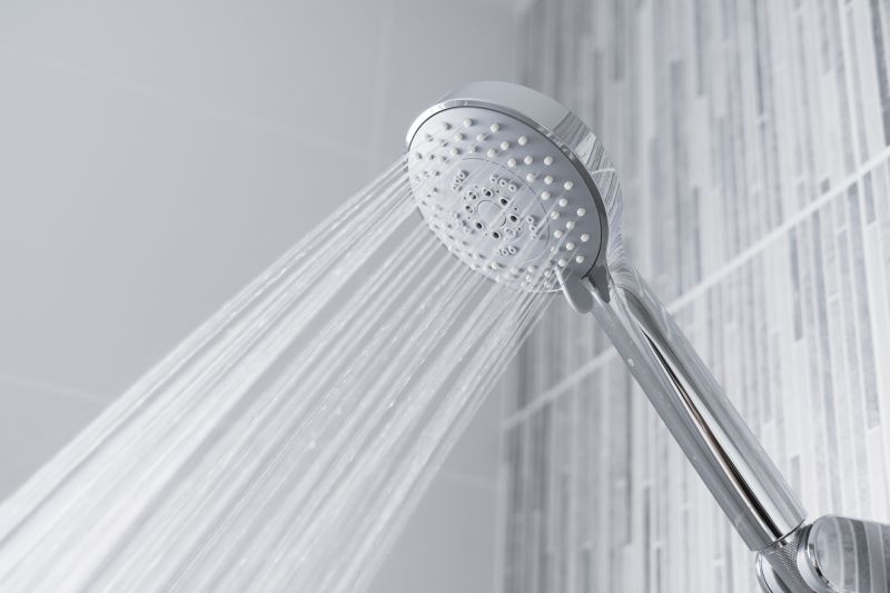 Rain Shower Head in a Contemporary Bathroom